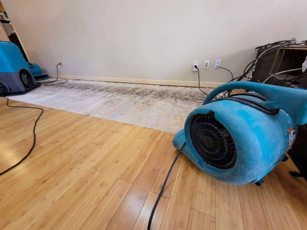 Professional Water Damage Repair technician working in Inchelium, WA